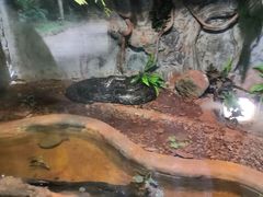 -海南热带野生动植物园