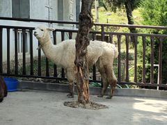 -石燕湖生态旅游景区