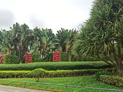 -万绿园