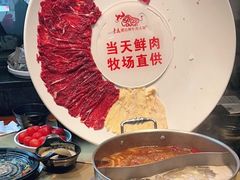 -手选潮汕鲜活牛肉火锅(二七广场店)