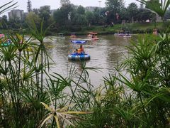 -枫香湖儿童公园