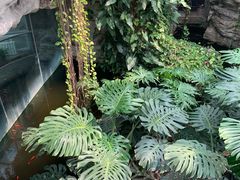 -北京植物园-展览温室