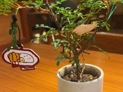 -CURRY YA 熟成咖哩專門店(深圳湾万象城店)