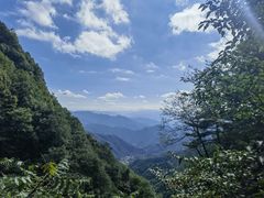-王顺山国家森林公园