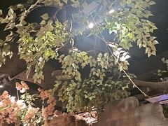 -城墙拐拐火锅(三峡广场黑金冠店)
