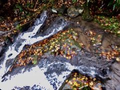 -藏龙百瀑风景区