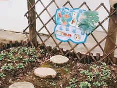 -胡姬港湾幼儿园(张江春晓校区)