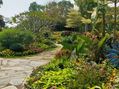 -东莞植物园