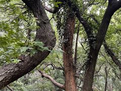 -虞山风景区