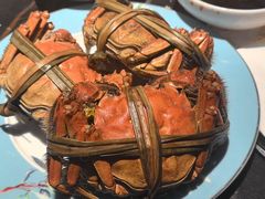 -雍容荟活龙虾自助餐(IFS黑金店)