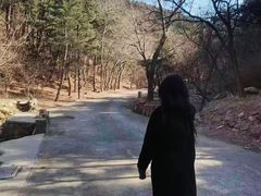 -金龙寺国家森林公园