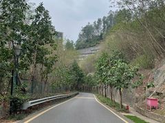 -小南山公园