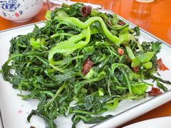 凉拌野菜-漁耕小厨农家院(武当山店)