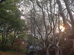 -徐家汇源景区-衡山公园