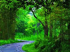 -西溪国家湿地公园