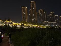 -重庆市江北嘴中央商务区中央公园