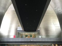 -证大喜玛拉雅中心