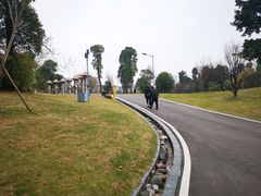 -东岳体育公园