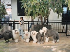 -TrueLove @ Neverland (Husky Cafe)