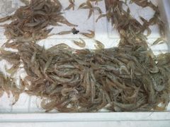 -良师门滨海人家·海鲜·家常菜(滨海城店)