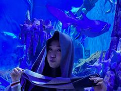 -哈尔滨波塞冬海底世界
