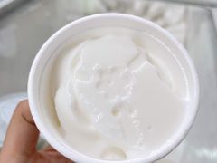 椰子雪糕-洪馨椰子