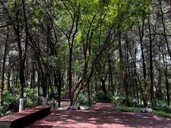 -桃花岛公园