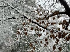 -敬亭山风景名胜区