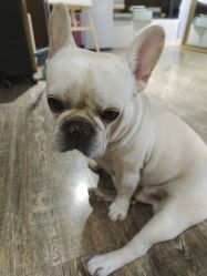 -IDEA·艾蒂尔科技美肤·日式美甲美睫集合店