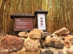 -森波拉火山温泉