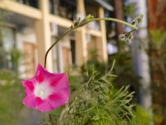 -丽江泸沽湖景区