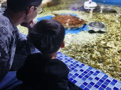 -顺德南宏海立方海洋公园