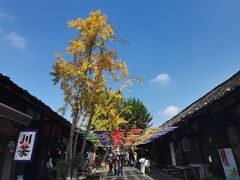 -安仁古镇