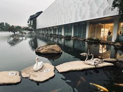 -罗红摄影艺术馆