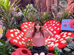 -正佳雨林生态植物园