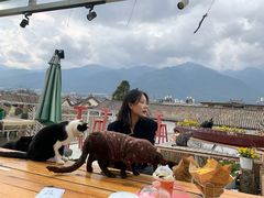 -喵屿·大理花园猫咖