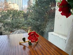 -弗兰克牛排西餐厅Ribone steak house(柠檬花园店)