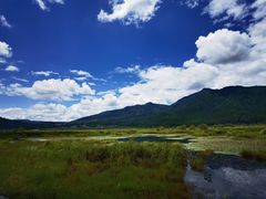 -腾冲北海湿地