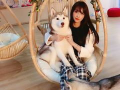 -Husky Go! 哈士奇体验馆·宠物咖啡厅狗咖