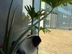 -山下C5cafe(惠通时代广场店)