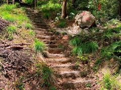 -青龙山国家森林公园