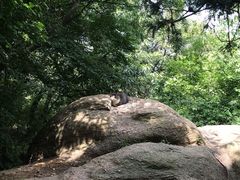 -灵岩山风景区