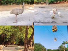 -广州长隆野生动物世界