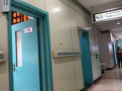 -北京观赏动物医院·24小时大型综合·猫专科·异宠专科