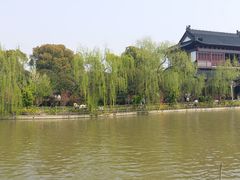 -南汇桃花村