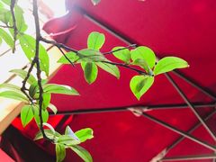 -manabe (共和新路店)