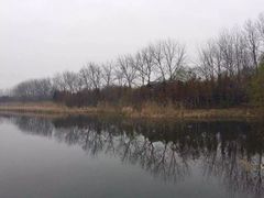 -溱湖国家湿地公园