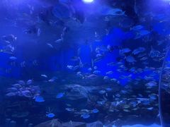 -顺德南宏海立方海洋公园