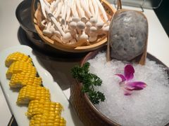 -烹然四季椰子鸡火锅(姚家园万象汇店)