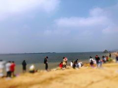 -瑶湖郊野森林公园